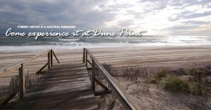 Dune point